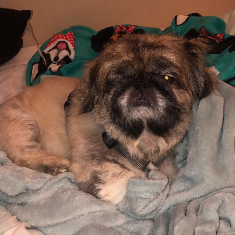 Meet your Posher, Taylor